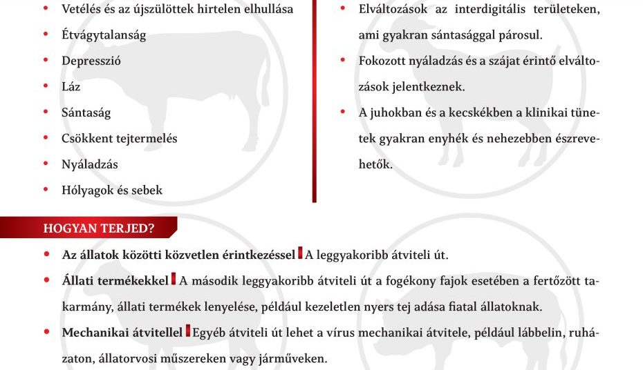 Száj és körömfájás tájékoztató