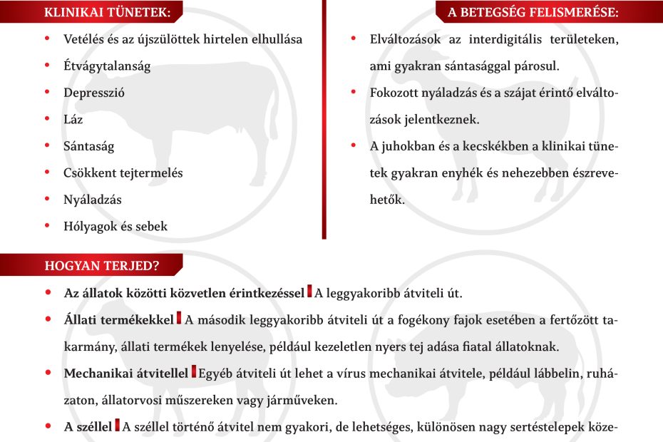 Száj és körömfájás tájékoztató